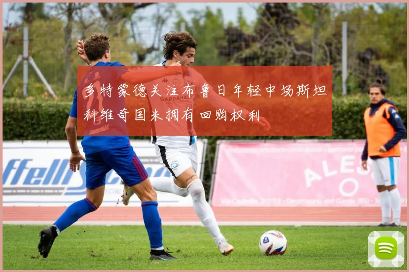 多特蒙德关注布鲁日年轻中场斯坦科维奇国米拥有回购权利