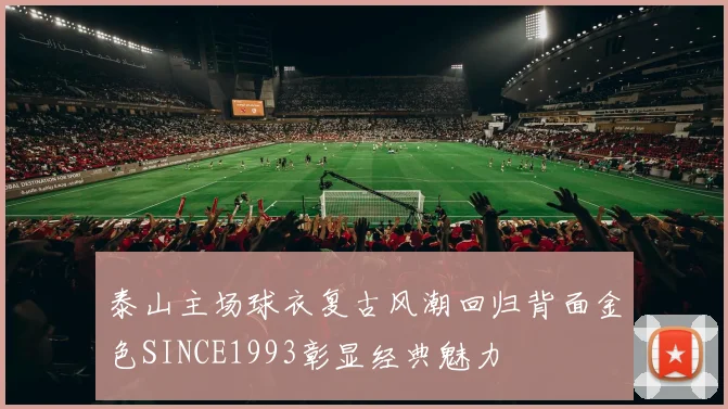 泰山主场球衣复古风潮回归背面金色SINCE1993彰显经典魅力